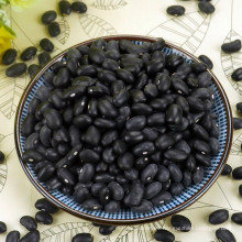 Los frijoles negros de frijol negro no gmo se secaron el frijol negro